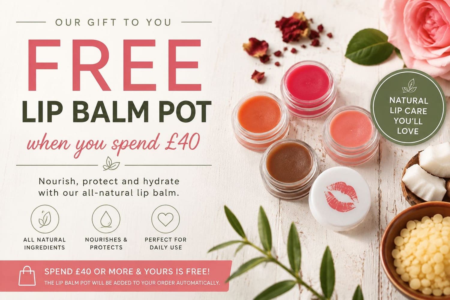 Free Lip Balm Pot